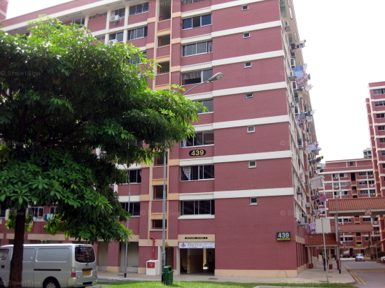 Blk 439 Hougang Avenue 8 (Hougang), HDB 4 Rooms #236742